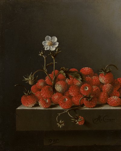 Stilleven met wilde aardbeien, 1705 door Adrian Coorte