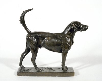 De hond 