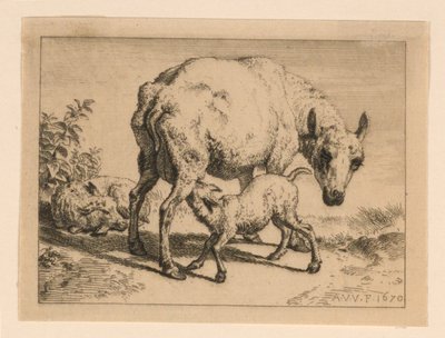De ooi door Adrian van de Velde