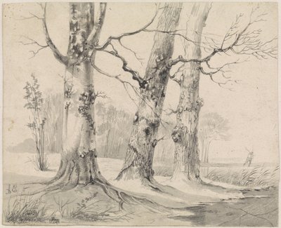 Winterlandschap door Adrianus Eversen