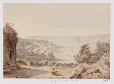 Gezicht op Ternate en de rede van Ternate, de westkust van Halmahera, Noord-Molukken door Adrianus Johannes Bik