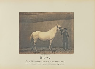 Bijou door Adrien Alban Tournachon