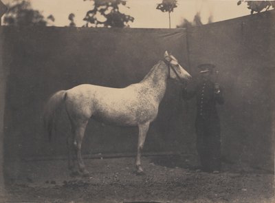 Pascaline, ca. 1855-60 door Adrien Alban Tournachon