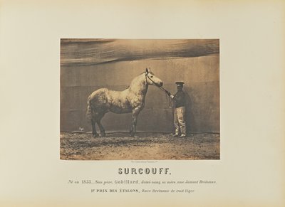 Surcouff door Adrien Alban Tournachon