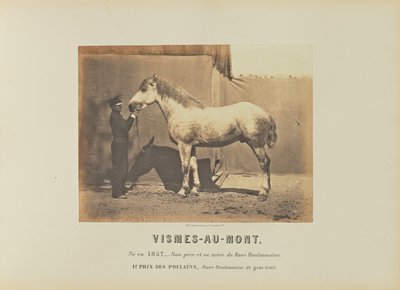 Vismes-Au-Mont door Adrien Alban Tournachon