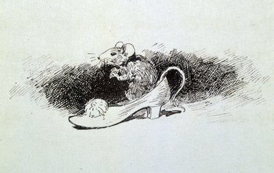 Assepoester - in 