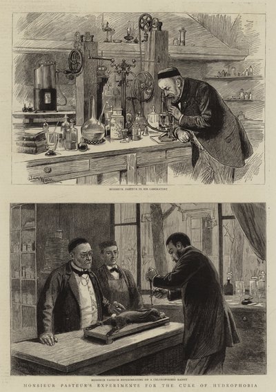 De experimenten van Monsieur Pasteur voor de genezing van hondsdolheid door Adrien Emmanuel Marie