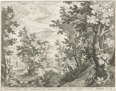 Boslandschap door Egidius  Sadeler (II)