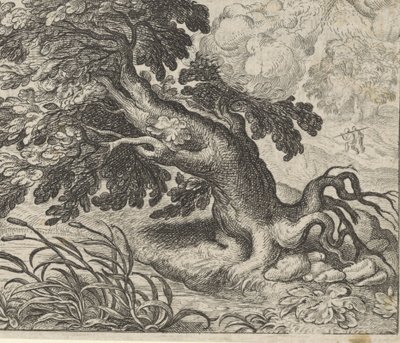 Fabel van de es en het riet door Egidius  Sadeler (II)