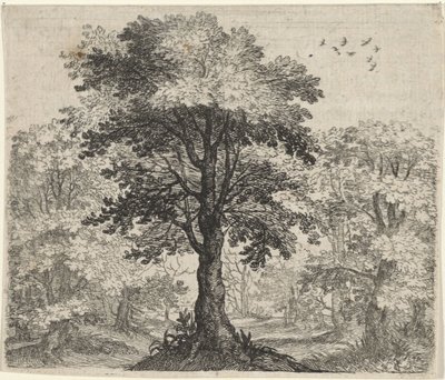 Fabel van de olm en de eik door Egidius  Sadeler (II)