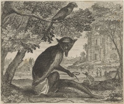 Fabel van de papegaai en de aap door Egidius  Sadeler (II)
