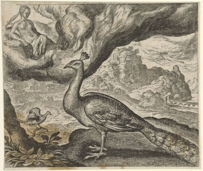 Fabel van de pauw en de nachtegaal door Egidius  Sadeler (II)