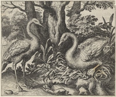 Fabel van de zwaan en de ooievaar door Egidius  Sadeler (II)