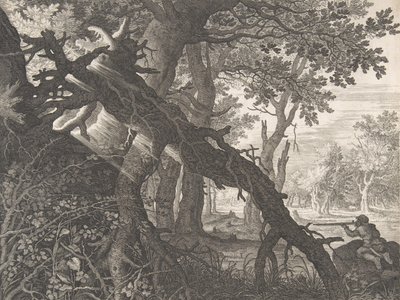 Een bos met een konijnenjacht door Aegidius Sadeler II