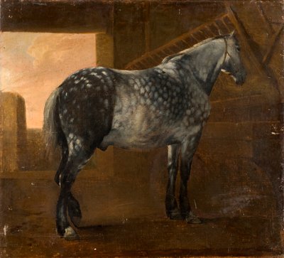 Een Schimmel door Aelbert Cuyp