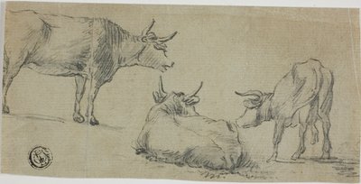 Drie schetsen van koeien door Aelbert Cuyp