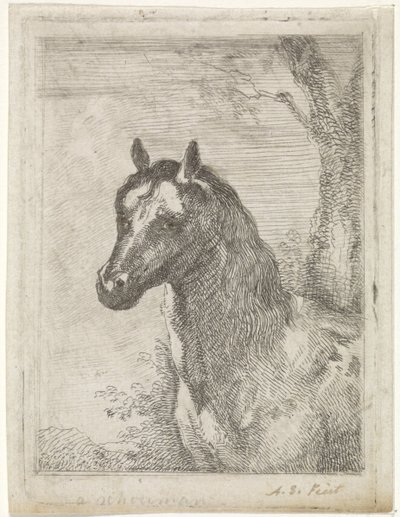 Paardenkop door Aert Schouman (signed by artist)