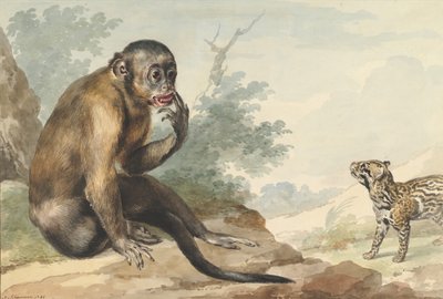 Een Aap Zittend op een Rots Kijkt naar een Civet door Aert Schouman