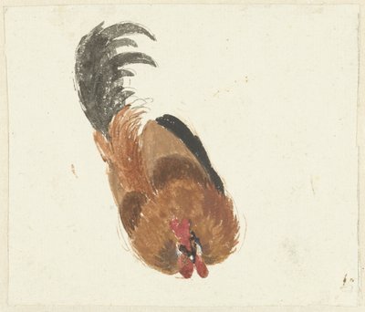 Studie van een dode haan door Aert Schouman