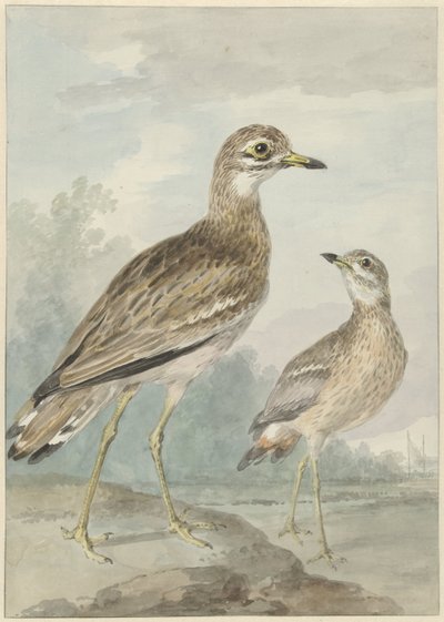 Twee grielen door Aert Schouman
