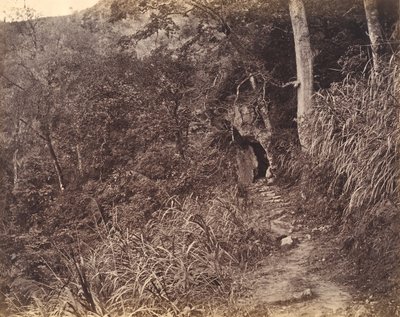 Weg naar het Yuen foo-klooster, ca. 1869 door Afong Lai