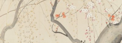Bloemen van de vier seizoenen door after Sakai Hōitsu