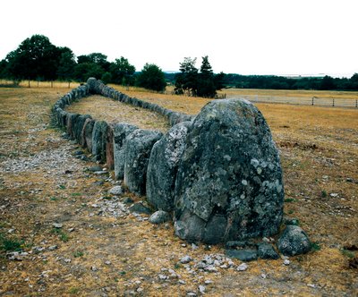 Uitlijning van stenen in de vorm van een schip, prehistorisch graf van Gannarve. Bronstijd. Dim 5x29 m Visby, Zweden door Age Bronze