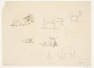 Studieblad met Dieren door Agnes Lunn