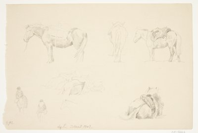 Studieblad met paarden door Agnes Lunn