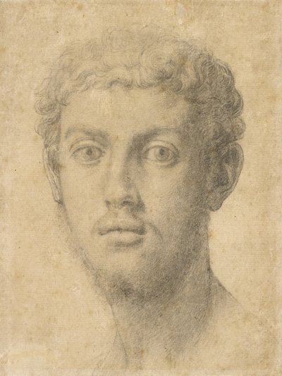 Hoofd van een man door Agnolo Bronzino