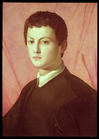 Portret van een jonge man door Agnolo Bronzino