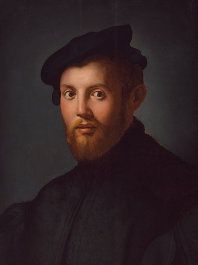 Portret van een jonge man met een boek door Agnolo Bronzino