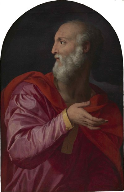 Sint Cosmas, ca. 1544 door Agnolo Bronzino