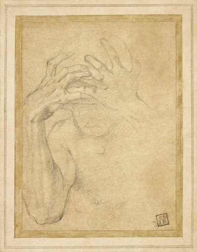 Studie van jaloezie door Agnolo Bronzino