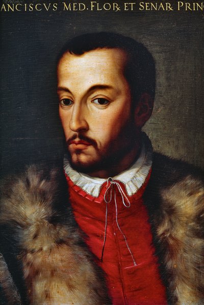 Portret van Francesco I de Medici (Florence) door Agnolo di Cosimo Bronzino