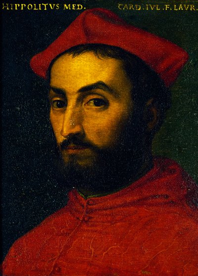 Portret van Ippolito de Medici door Agnolo Bronzino