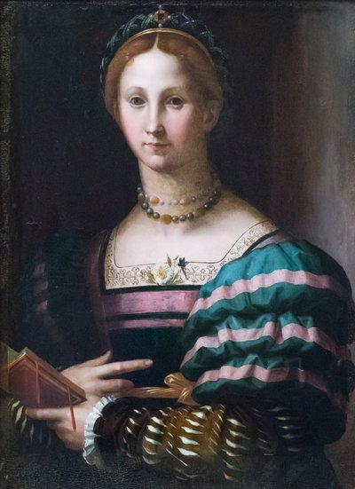 Portret van een dame door Agnolo Bronzino