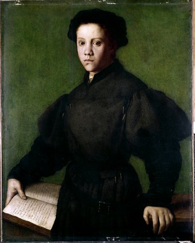 Portret van een jonge jongen door Agnolo di Cosimo Bronzino