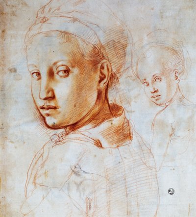 Hoofd van een jonge vrouw, Door Agnolo Bronzino (1503-1572), Tekening, Italië door Jacopo Pontormo