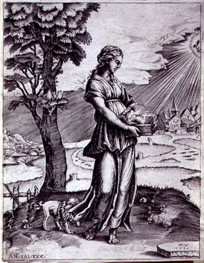 De Cumaeïsche Sibille door Agostino Musi
