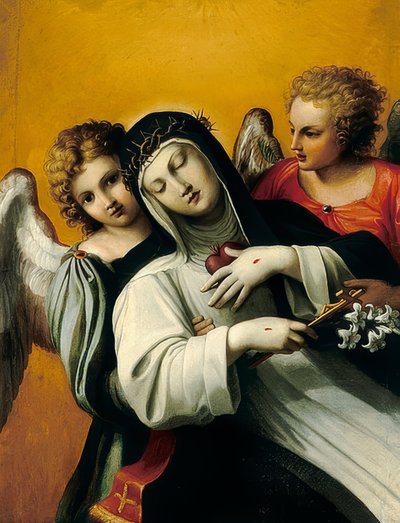 De extase van de heilige Catharina door Agostino Carracci