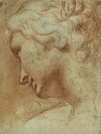 Hoofd van een jonge vrouw die naar beneden kijkt over haar rechterschouder door Agostino Carracci