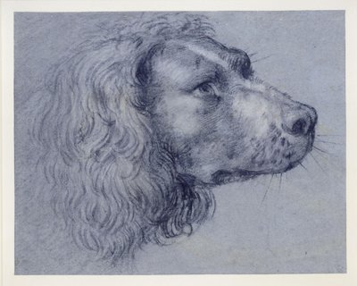  door Agostino Carracci