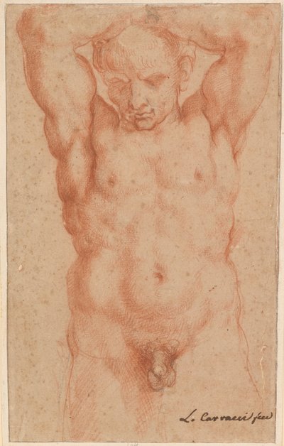 Mannelijk naakt door Agostino Carracci