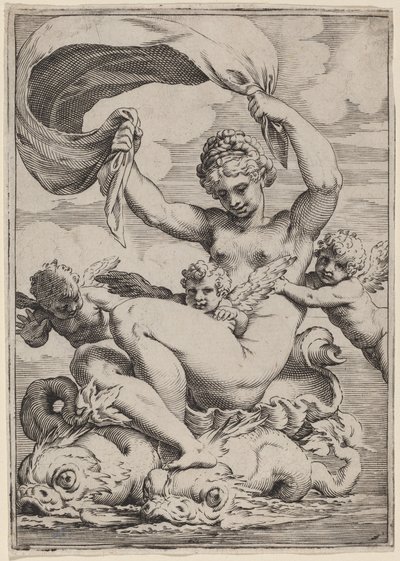 Venus of Galatea ondersteund door dolfijnen door Agostino Carracci