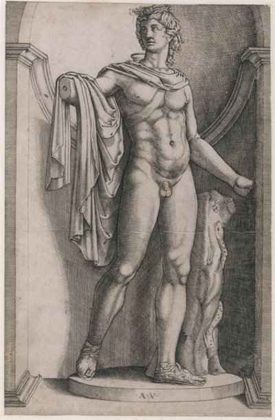 Speculum Romanae Magnificentiae: Apollo Belvedere door Agostino Veneziano