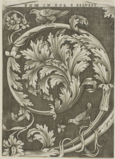 Bladornament uit oude Romeinse kerk door Agostino dei Musi