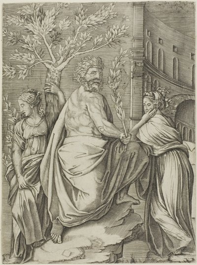 Man onder een laurierboom door Agostino dei Musi