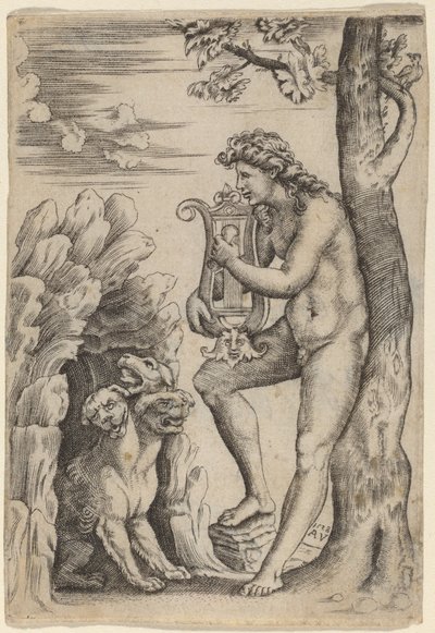 Orpheus door Agostino dei Musi
