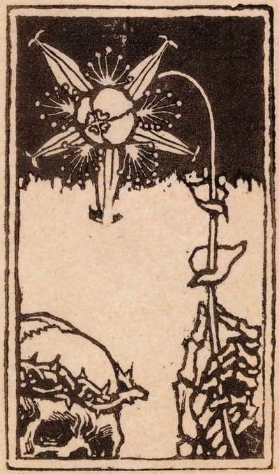  door Akseli Gallen-Kallela